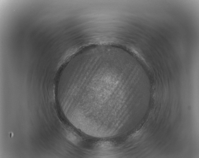 X0000066950685200604071939