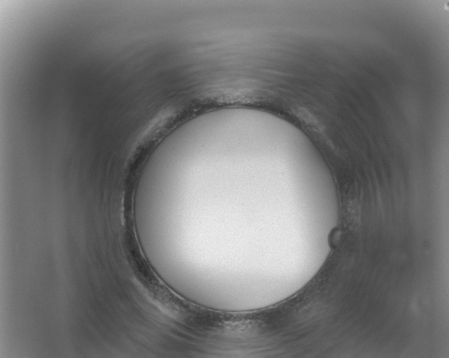 X0000066950686200604071939