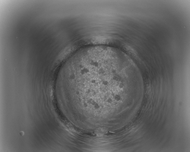 X0000066950687200604071939