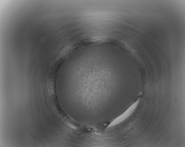 X0000066950689200604071939