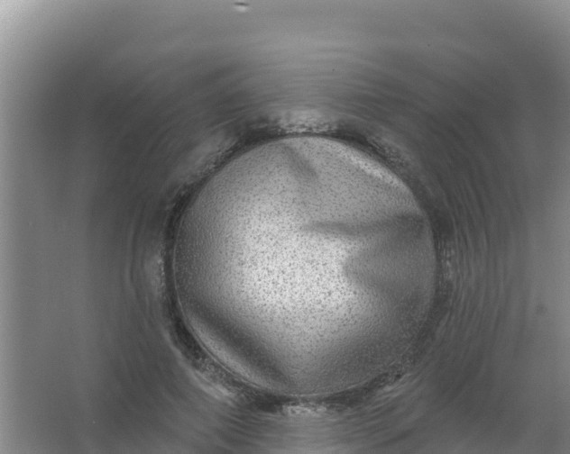 X0000066950690200604071939