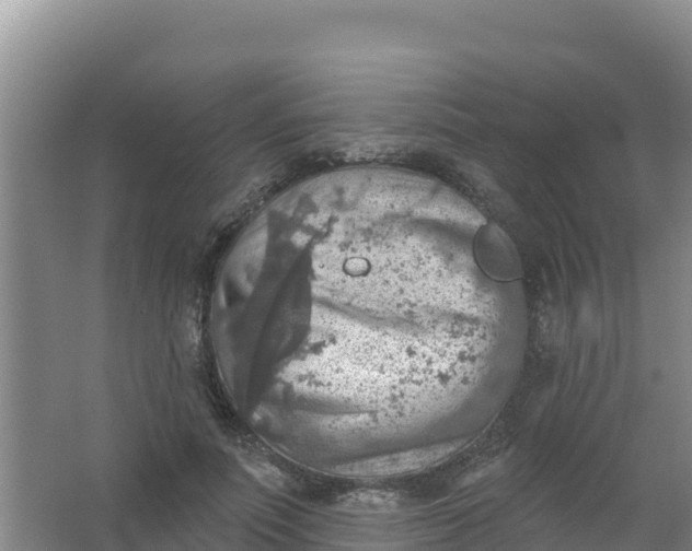 X0000066950691200604071939