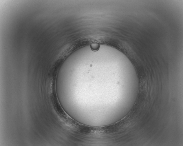 X0000066950694200604071939