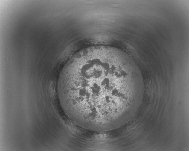 X0000066950695200604071939