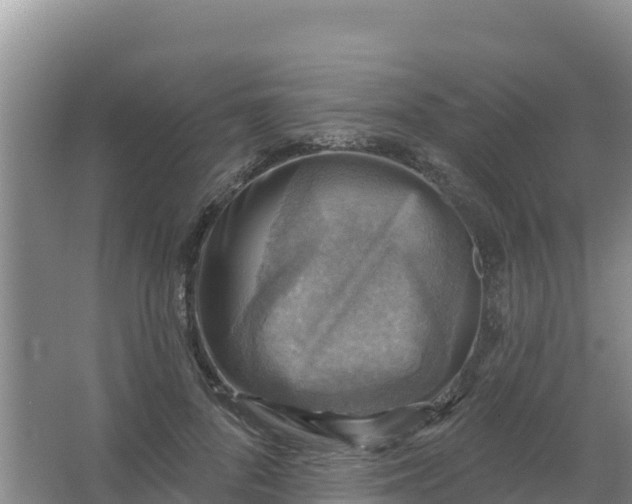 X0000066950696200604071939