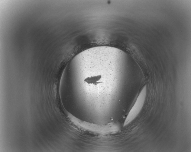 X0000066950697200604071939