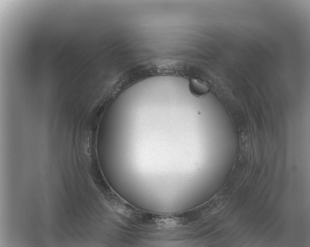 X0000066950698200604071939