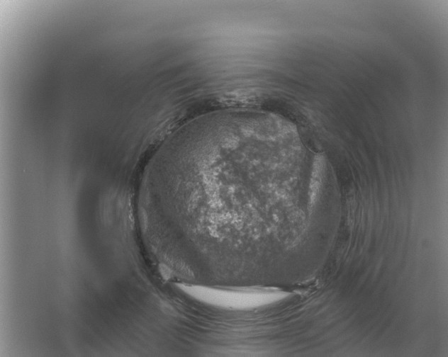 X0000066950699200604071939