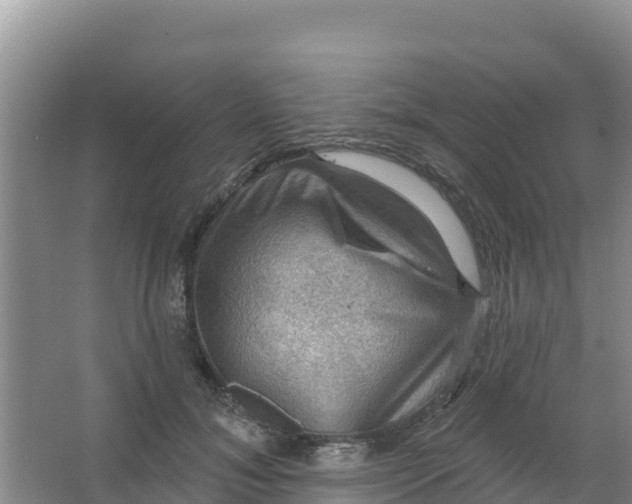 X0000066950700200604071939