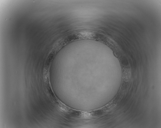 X0000066950701200604071939