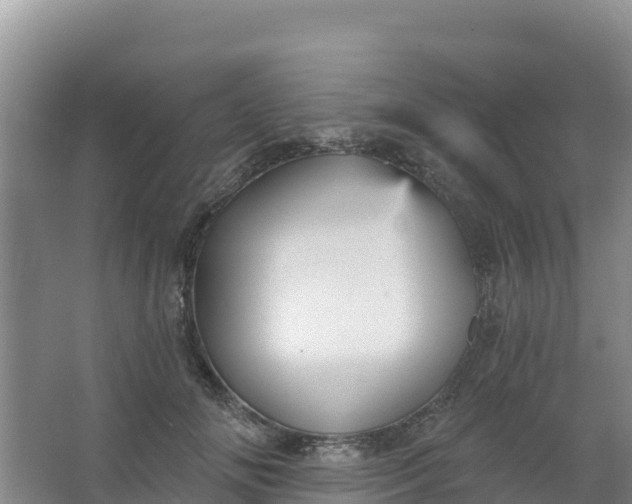 X0000066950702200604071938