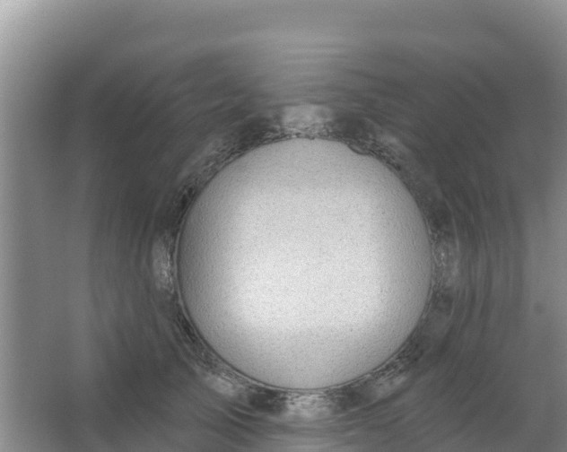 X0000066950705200604071938