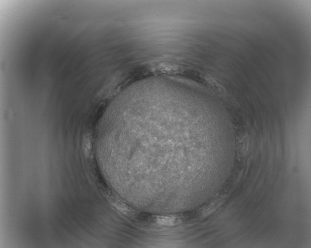 X0000066950709200604071938