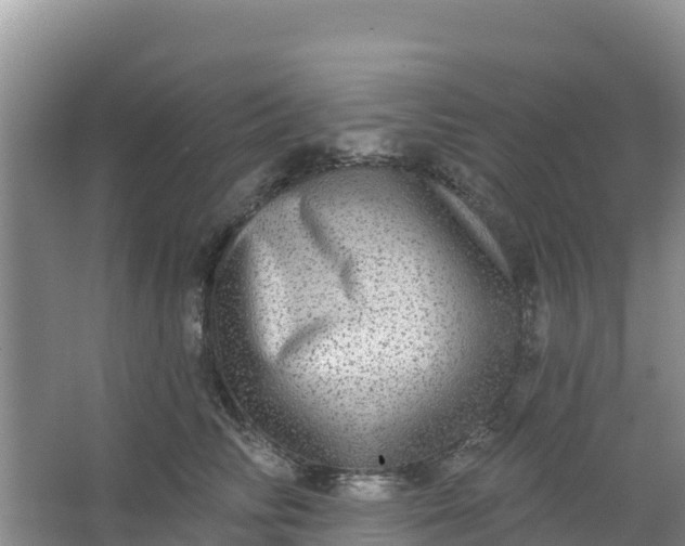 X0000066950710200604071938