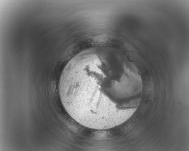 X0000066950711200604071938