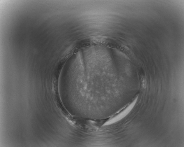 X0000066950712200604071938