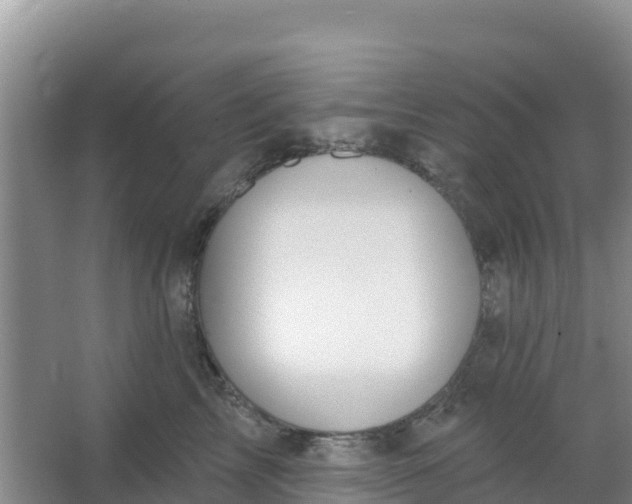 X0000066950713200604071938