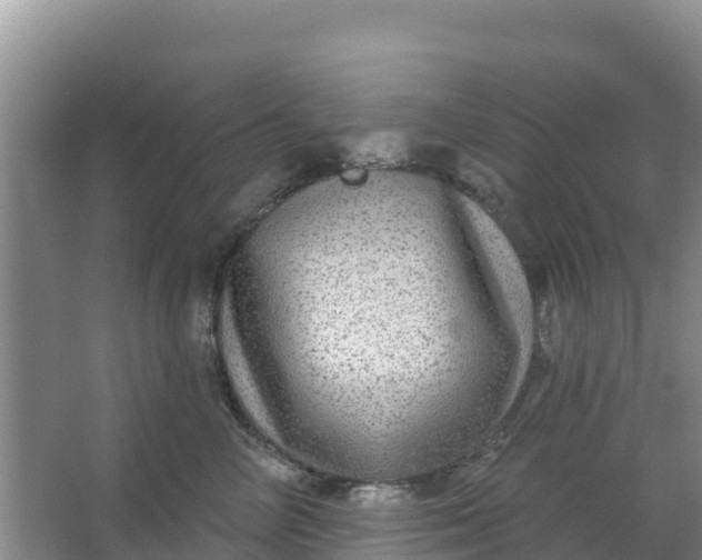 X0000066950714200604071938