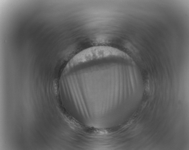 X0000066950715200604071938