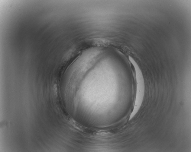 X0000066950716200604071938