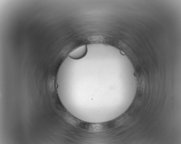 X0000066950717200604071938