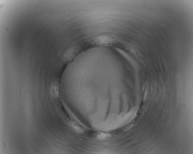 X0000066950718200604071938