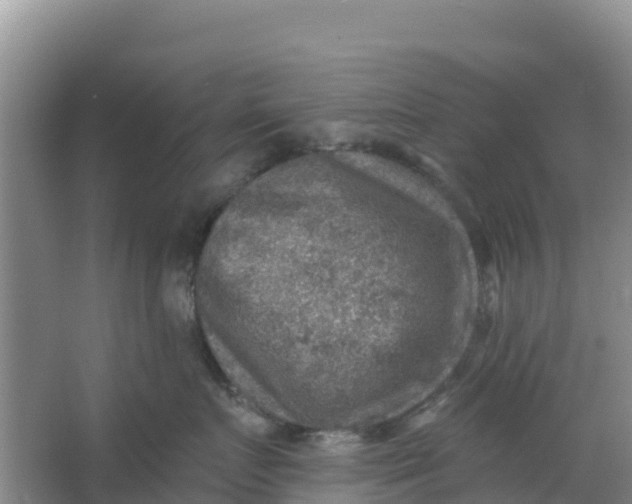 X0000066950719200604071938