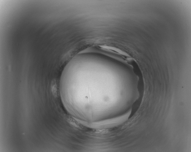 X0000066950720200604071938