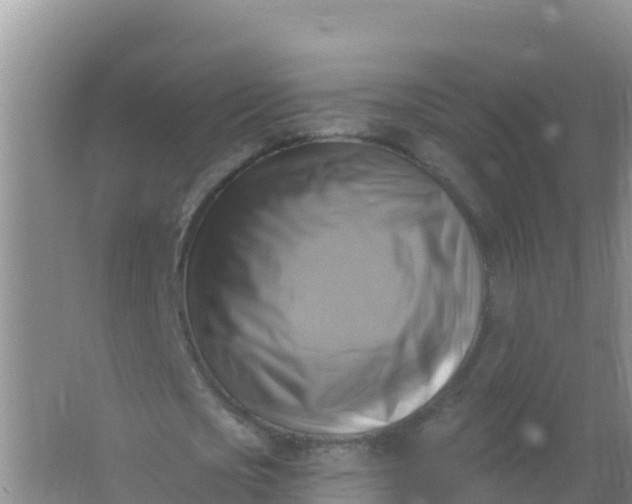 X0000066950721200604071937