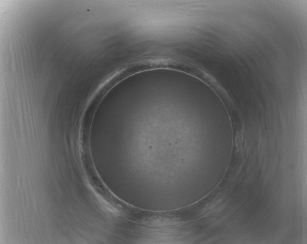 X0000066950722200604071937