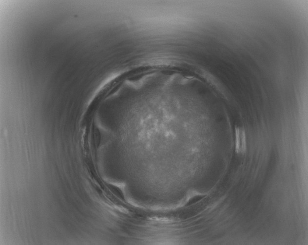 X0000066950723200604071937