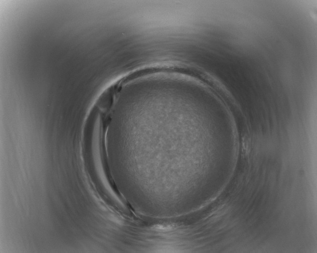 X0000066950724200604071937