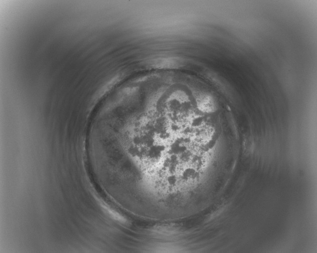 X0000066950725200604071937