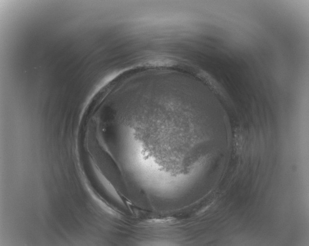 X0000066950726200604071937