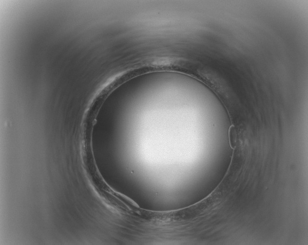 X0000066950728200604071938