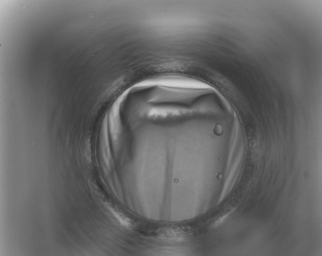 X0000066950729200604071938