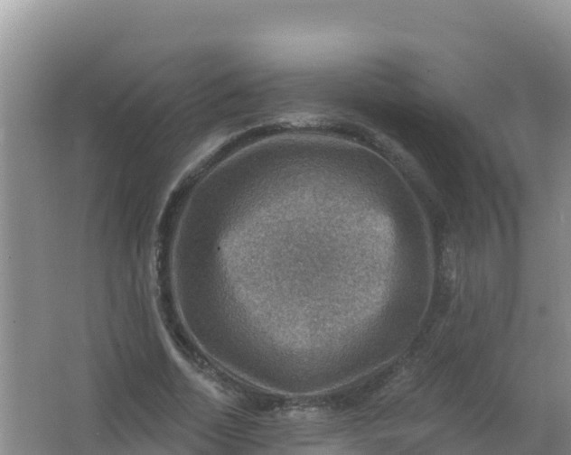 X0000066950730200604071938