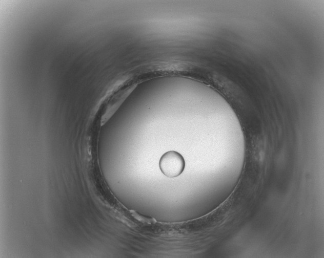 X0000066950731200604071938