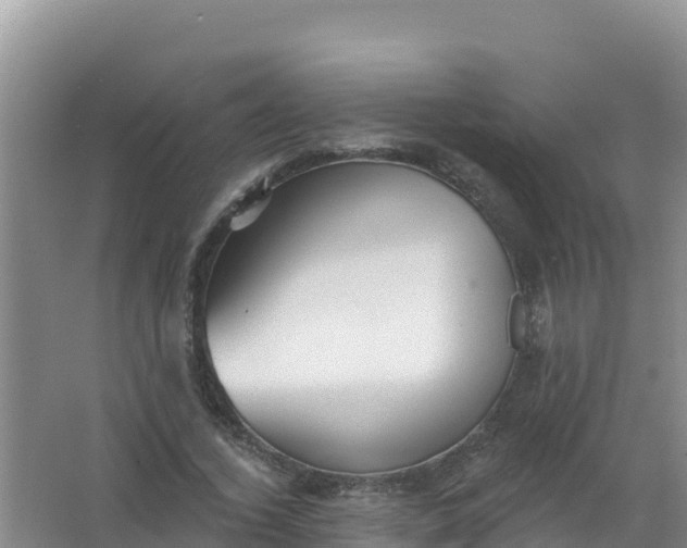 X0000066950732200604071938