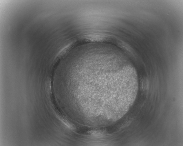 X0000066950733200604071938