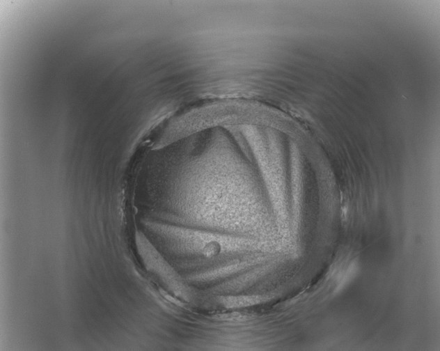 X0000066950735200604071938