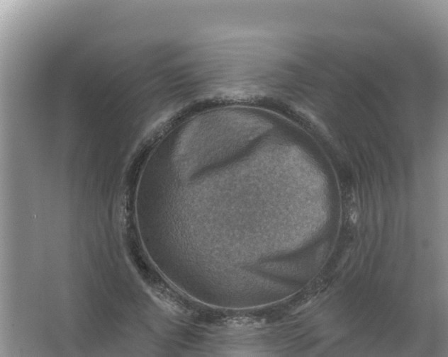 X0000066950736200604071938