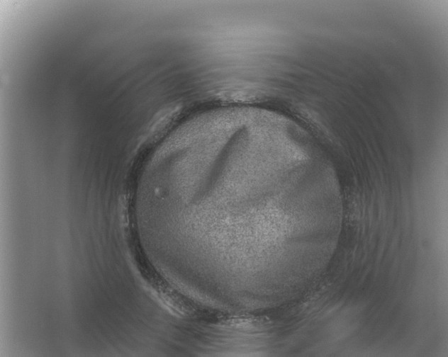 X0000066950738200604071938