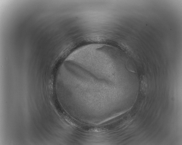 X0000066950739200604071938