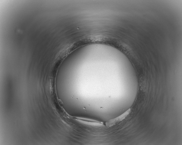 X0000066950740200604071938