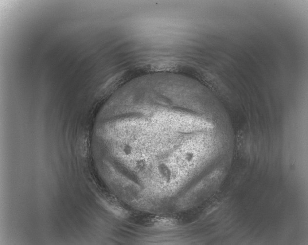 X0000066950741200604071938