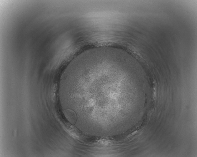 X0000066950742200604071938