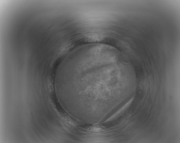 X0000066950743200604071938