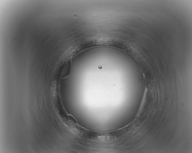 X0000066950744200604071938