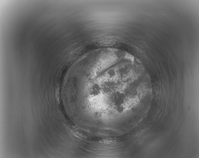 X0000066950745200604071938